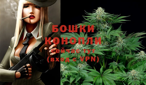 хмурый Волоколамск