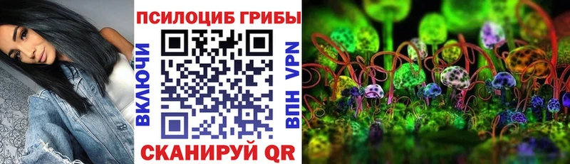 Псилоцибиновые грибы Psilocybe  mega зеркало  Петухово 